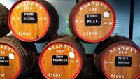 Weingut 