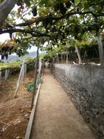 Weingut