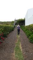 Weingut