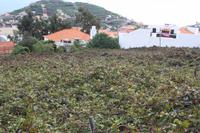 Weingut_10