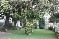 Weingut_12