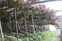 Weingut_5