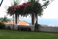 Weingut_8