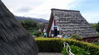 Weizenstrohdachhütte