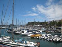 Yachthafen in Funchal