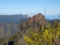 auf dem Pico do Arieiro