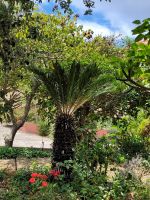 bei Esmeralda im Kräutergarten