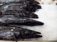 der Degenfisch...