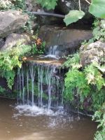 im Garten