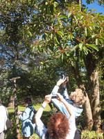 in Blandy´s Garden