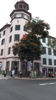 in Funchal