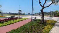 in Funchal