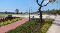 in Funchal