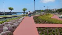 in Funchal
