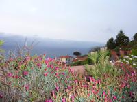 sonniger Morgen in der Quinta Splendida