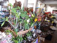   Funchal Markthalle