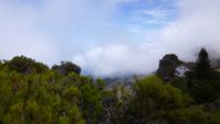   Wanderung Pico Ruivo - Forsthaus