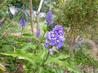  Kräutergarten