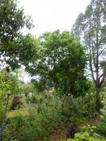  Kräutergarten