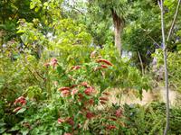  Kräutergarten