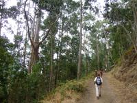  Wanderung Rabacal 