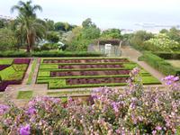  botanischer Garten 