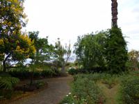  botanischer Garten