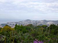  botanischer Garten