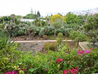  botanischer Garten