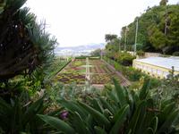  botanischer Garten