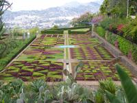  botanischer Garten