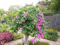  botanischer Garten
