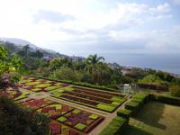  botanischer Garten