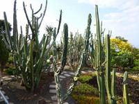  botanischer Garten