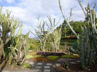  botanischer Garten