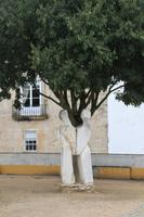Évora