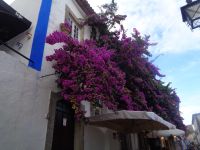 Óbidos