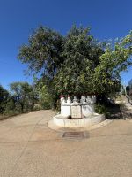 ...Wanderung Rocha da Pena (4)