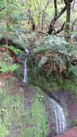 060_einer der vielen Wasserfälle