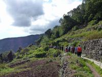 075. Levada Wanderung, Madeira