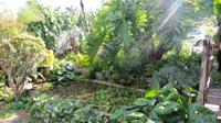 082_im Kräutergarten bei Esmeralda