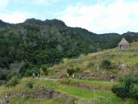 093. Levada Wanderung, Madeira