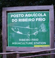 102 Forellenzucht Ribeiro Frio