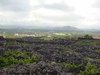 alteWeinwege auf Pico