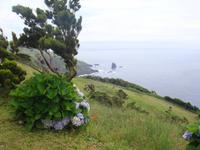 Blick auf die Küste Flores