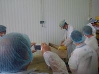 Besuch einer Käsefabrik