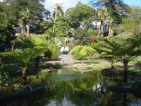 Park in Angra do Heroismo