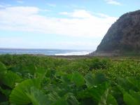 Wanderung auf Terceira