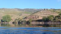 Kreuzfahrt auf dem Douro