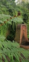 105 Botanischer Garten in Funchal